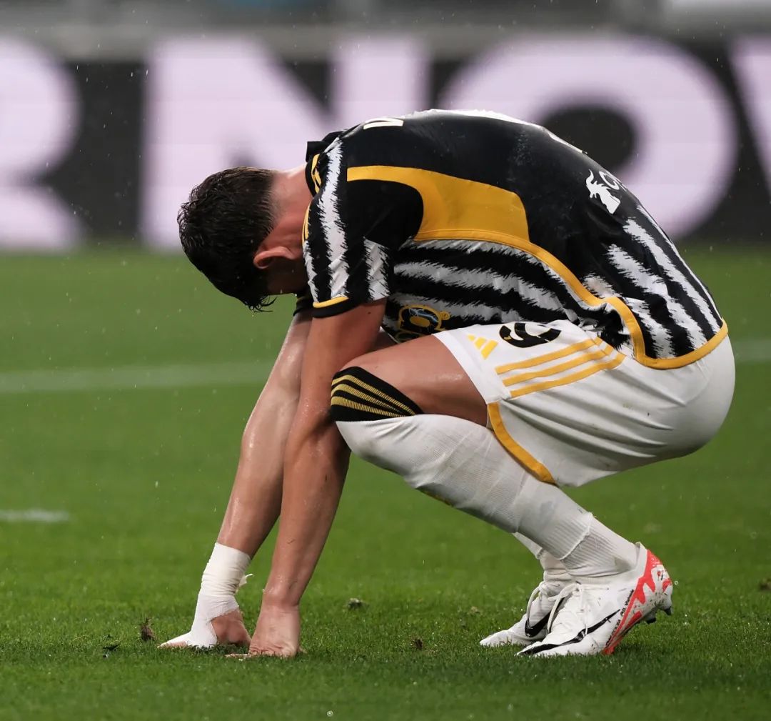 在去年与拜 在去年与拜