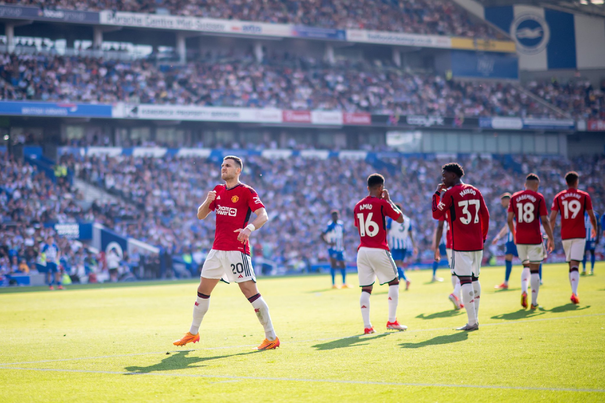 他们在比赛 他们在比赛